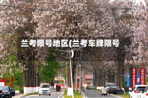 兰考限号地区(兰考车牌限号)